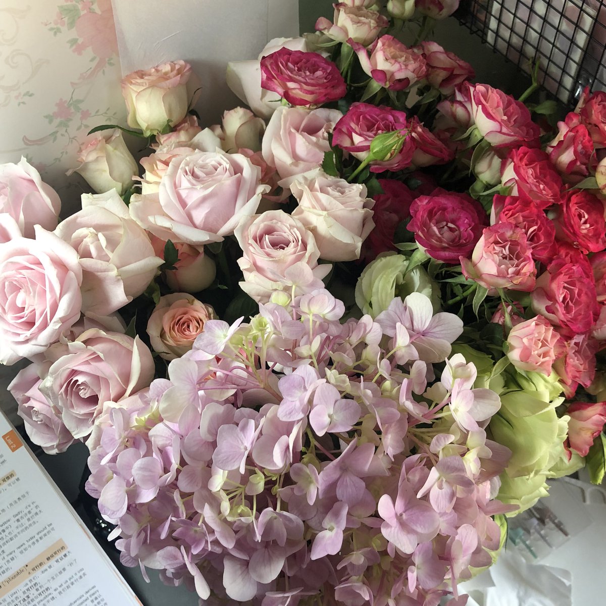 看点花花 拯救心情 
同时净化一下我的主页