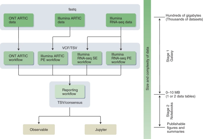INB_Official's tweet photo. "Ready-to-use public #infrastructure for global #SARSCoV2 monitoring" read here https://t.co/JV82IkUFss

The latest paper from the #COVID19 Galaxy initiative, with contributions from @jordirambla @babi2305 from @CRGenomica #ViralBeaconProject

▶️ https://t.co/pXkyB7f9J7 https://t.co/8oD41Hj9Ie