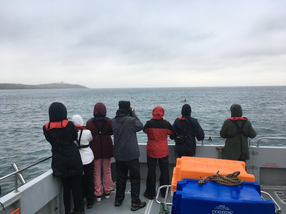 All @sos_bangor_uni #marinemammal observation boatwork completed. Rissos every day, despite some occasional wet weather. Great setup for students to practice line-transect and photo-ID skills....and right on our doorstep. Thanks again to Ian Rothwell-Jones for boat photos!
