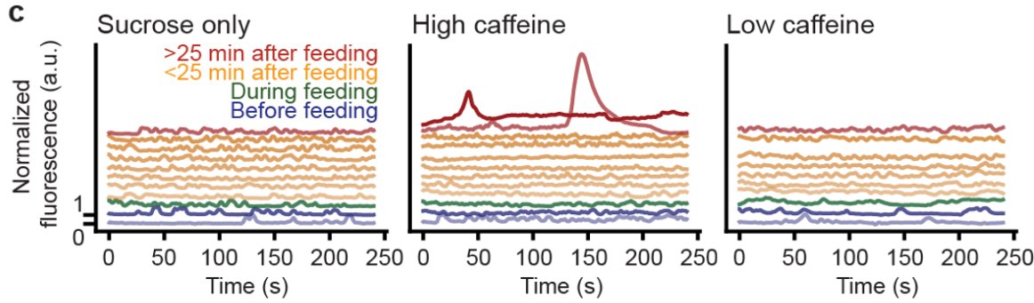 Jonas Braun tweet media