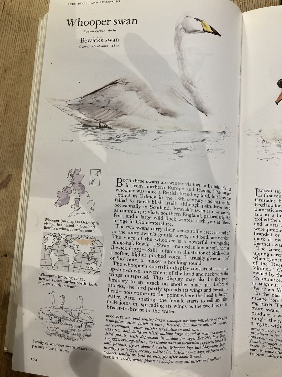 Grinton smallholder tweet media