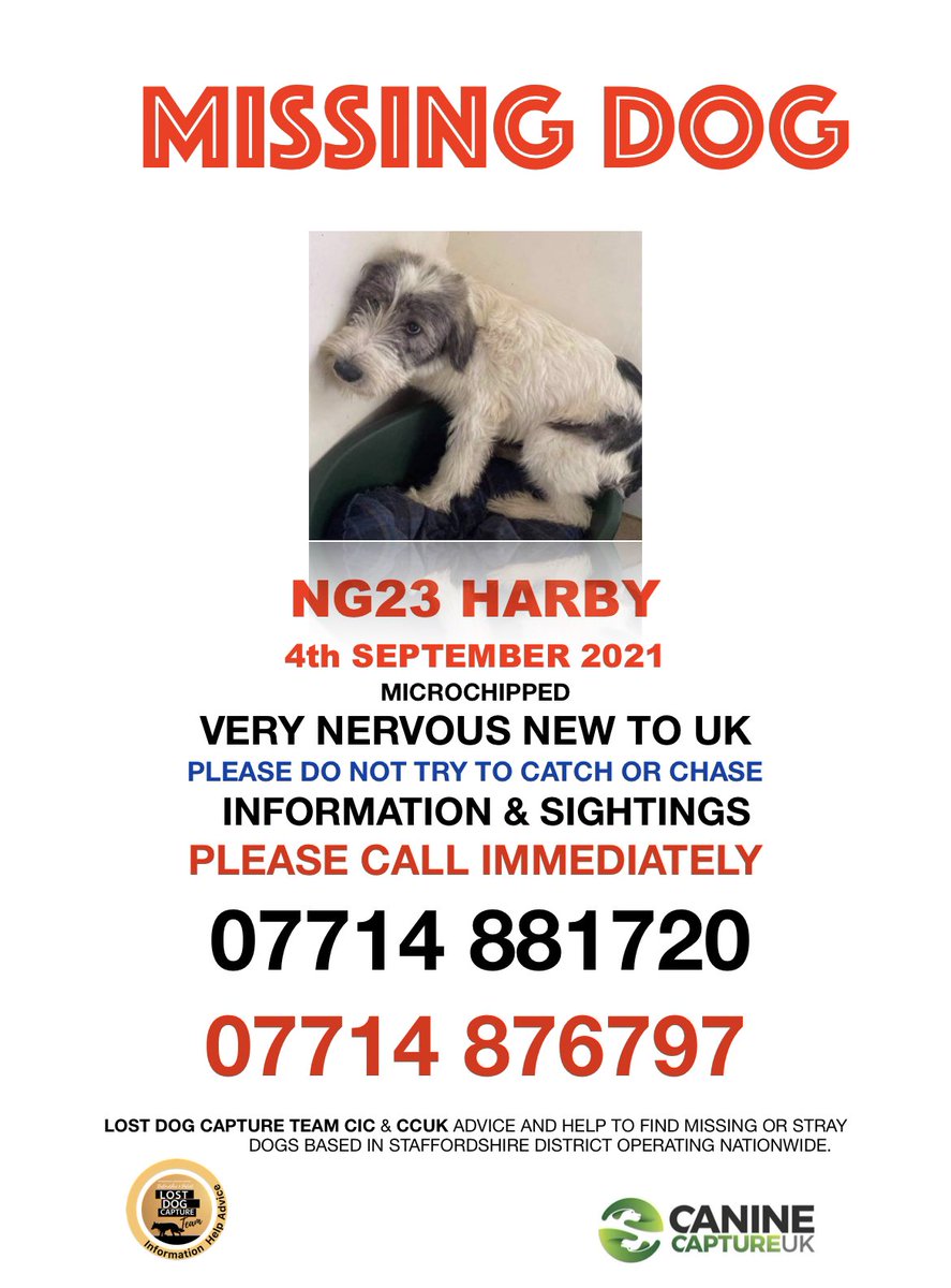 LostCapture's tweet image. Please keep a look out for ‘Chief’