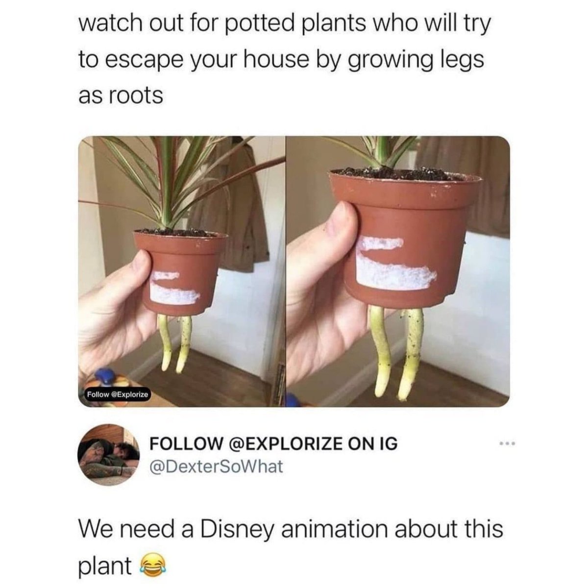 Hueflakes_'s tweet photo. Not a Disney animation but i did cartoon illustration 👀 @DexterSoWhat . found this ss on insta lol https://t.co/dhA9MZD1BX