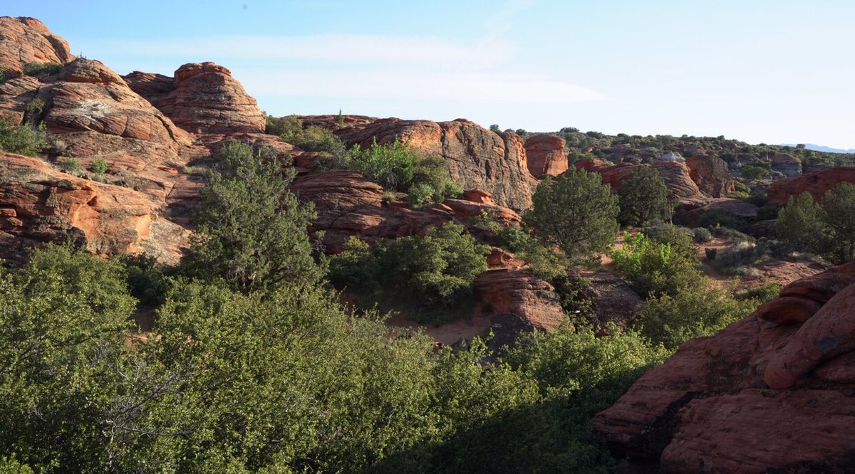 🏜 Jaylene &amp; <a href="/TAYCTIM/">Taylor Timothy</a> out exploring the petroglyphs of Snow Canyon! #radmvmnt #radcompany #snowcanyon #statepark #utah #petroglyphs #hiking #exploring #outdoors #keepitwild #optoutside #climbing #camping #travelstoke #mx #mtb #freeride #bmx #skate #longboard