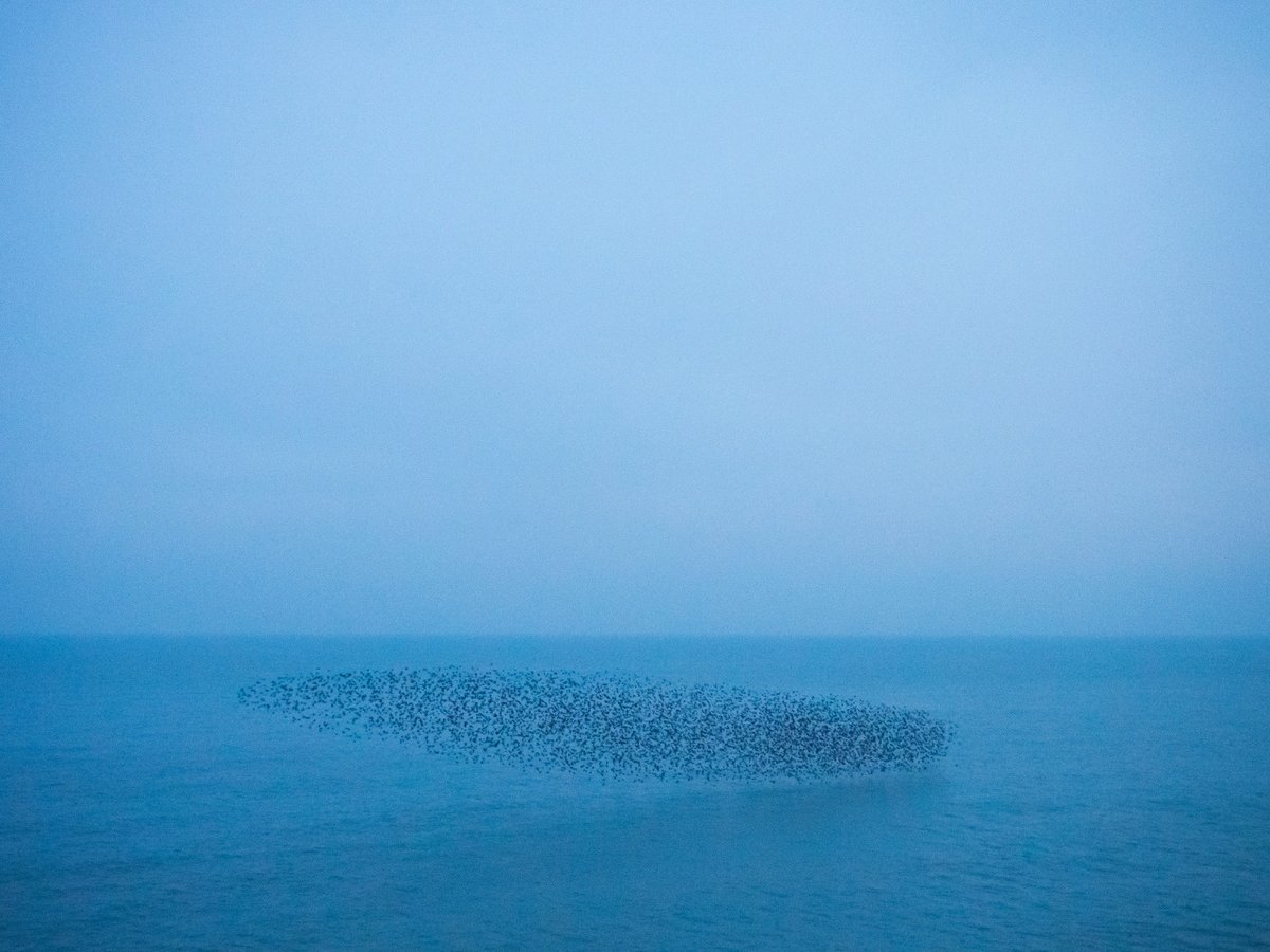archillect tweet picture