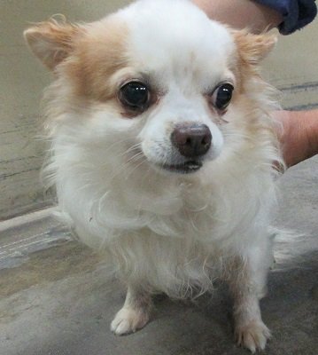 Musubuhana Musubuhana1 Timeline The Visualized Twitter Analytics