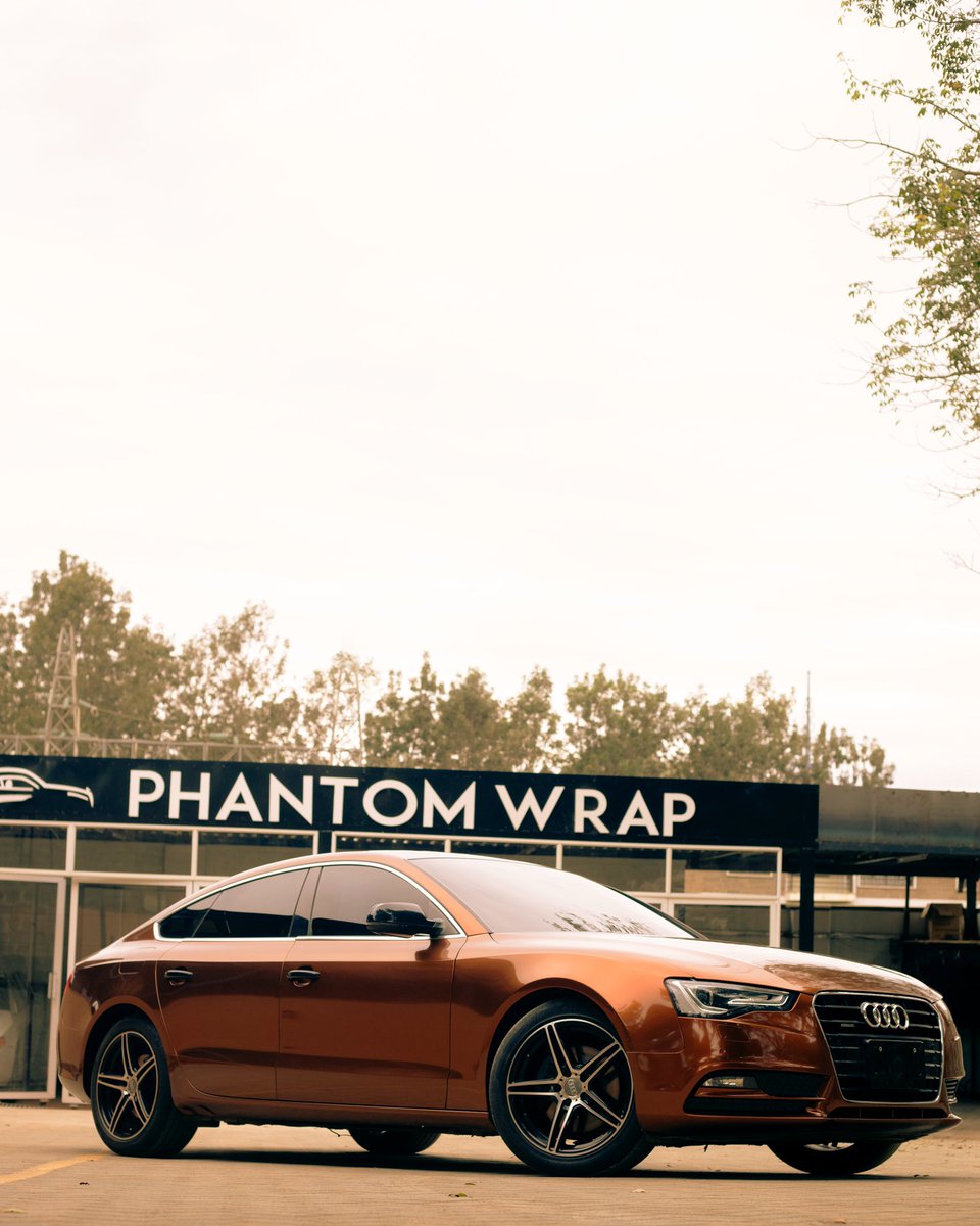 Phantom Wrap tweet media