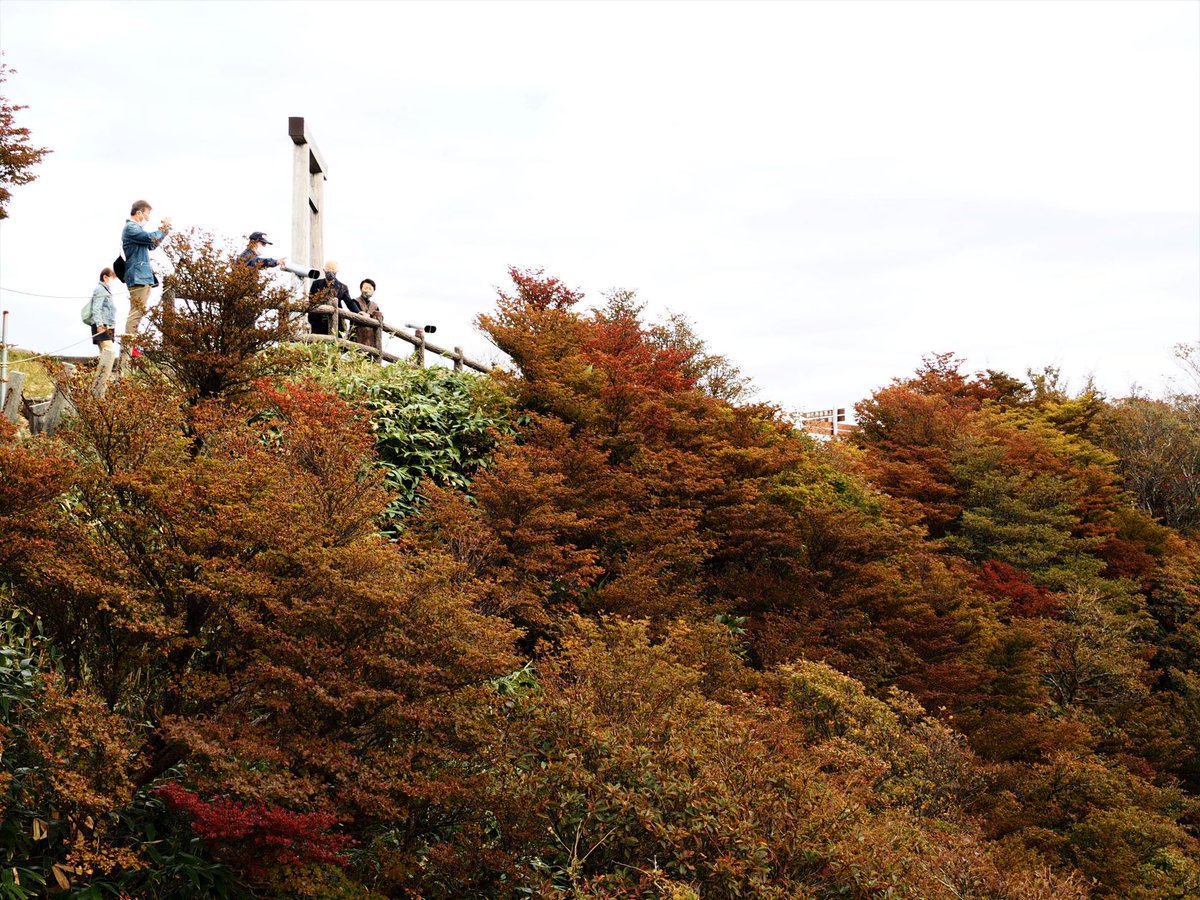 御在所ロープウエイ公式 御在所岳の紅葉 もいよいよ山の上からスタートをきりました 朝晩と日中の寒暖差で日に日に色づきが進みます これから今月末にかけて山の上で見頃を迎え 約１カ月かけて 湯の山温泉街へと紅葉前線がおりていきます 御在所岳