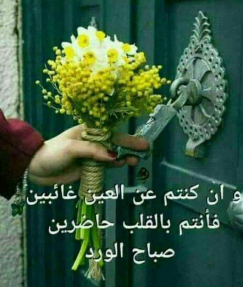 khaldNnaser1's tweet photo. @63Jamilah https://t.co/ZgUGH4A4Fj