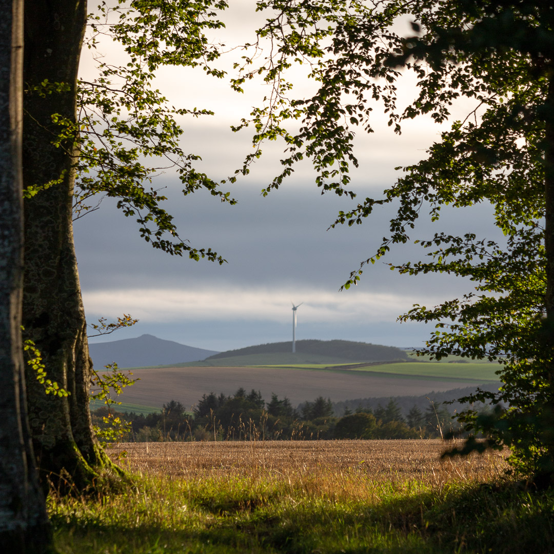 Wind Turbine.
.
#visitscotland #scotlandsbeauty #scotlandlover #scotland #thisisscotland #landscapecaptures #scotlandexplore #hiddenscotland  #Bennachie #landscapephotography #abdn #aberdeenshire  #loveaberdeenshire #green #windturbine #turbine #windenergy