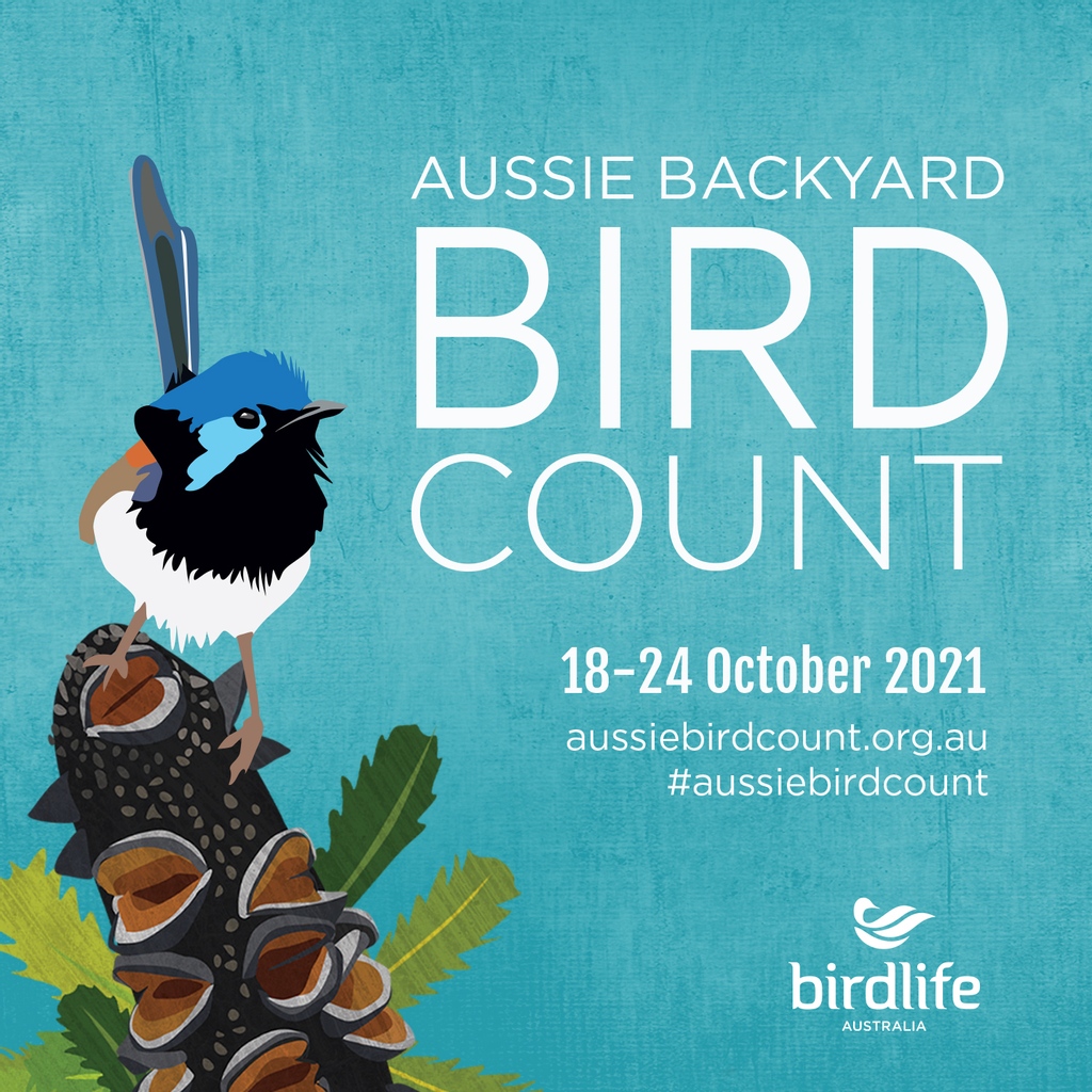 It's National Bird Week week, which means: it's time for Aussie Backyard Bird Watch! Become a backyard ornithologist and contribute to @birdlifeoz's important data collection. Find out more and register now at aussiebirdcount.org.au