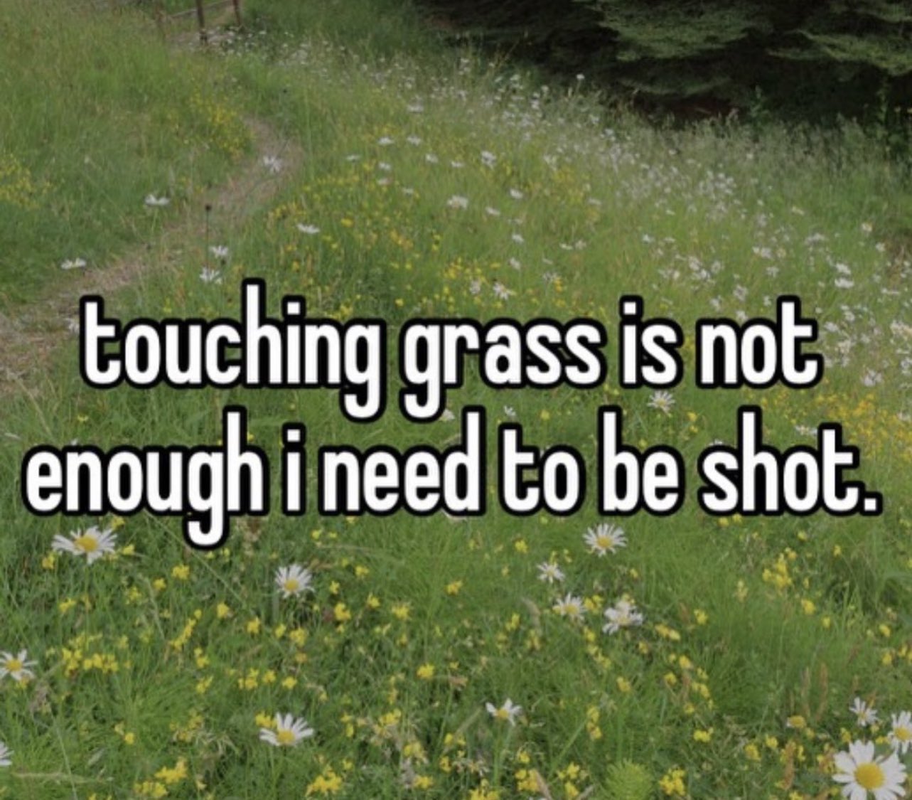 On the Need to Touch Grass