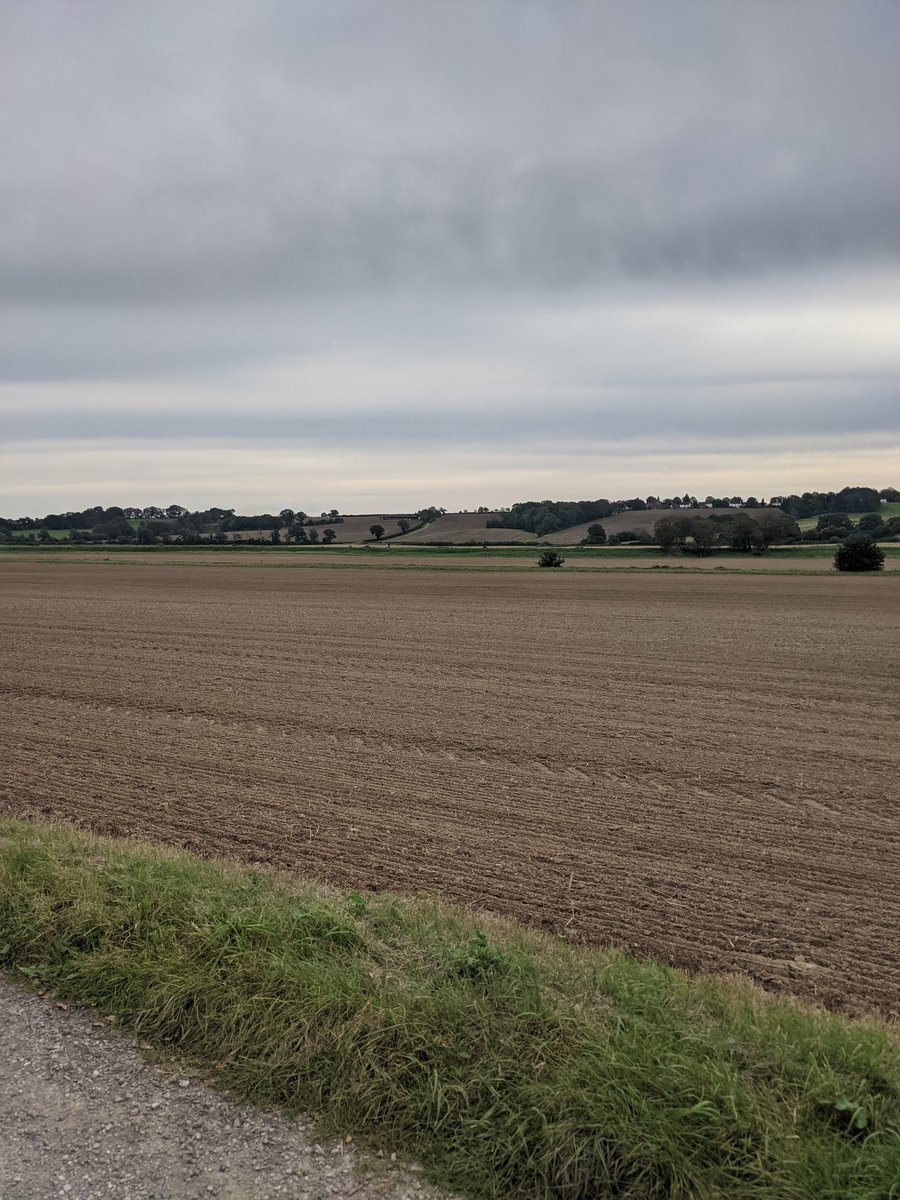 PaulaMarieHawes's tweet photo. Had soo much fun on the great British dog walk yesterday https://t.co/VYsK4KHOjW