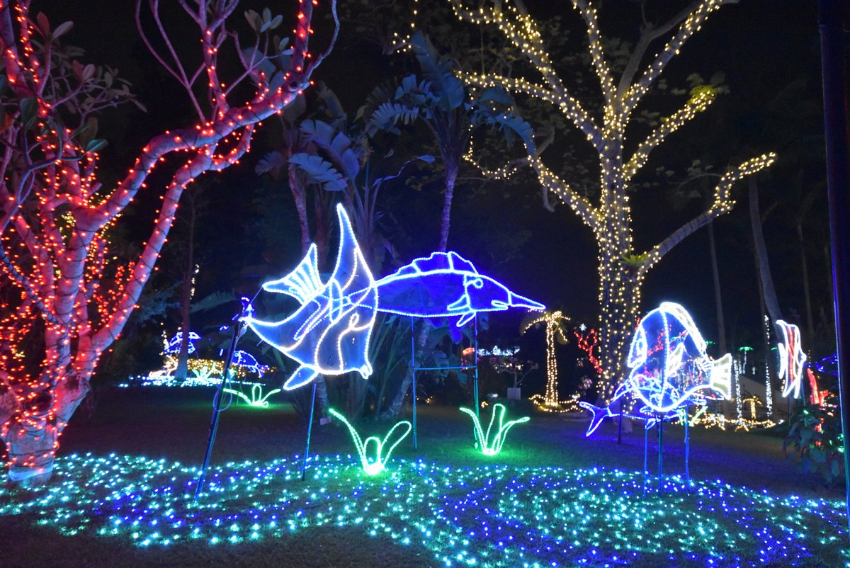 SEB_GARDENS's tweet photo. 【🌟あと3日🌟】
「#沖縄南国イルミネーション」10/22(金)よりスタート🌴
植物園に海の世界が広がる「ひかりの海」エリア🐟
まるで木々の中を、鮮やかな魚たちが泳いでいるかのよう!
https://t.co/RZAFTmu4Ja
#沖縄 #TAPIC #イルミネーション https://t.co/jZTho8yZdE