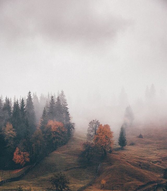 Rol_Band's tweet image. 𝐎𝐜𝐭𝐮𝐛𝐫𝐞 2
𝐕𝐢𝐥𝐥𝐚 𝐑𝐁

—El cambio en el ambiente comenzado el día anterior había llegado a su punto máximo durante la madrugada y para el dos de octubre ya la villa lucia un pleno otoño; desde la vegetación con sus típicos tonos, hasta el clima frío y ventoso.—