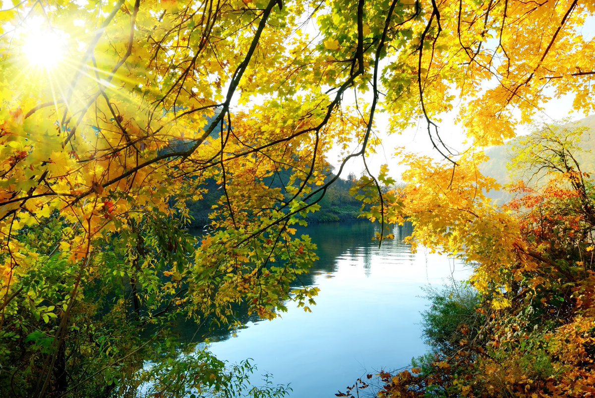“Signs of autumn - the reddening leaf, the chill in the early-morning air, the misty evenings. The summer has been splendid but it has lasted long enough. This morning I welcomed the chill in the air and viewed the falling leaves with cheerfulness.” ~A.A.Milne #mondaymotivation