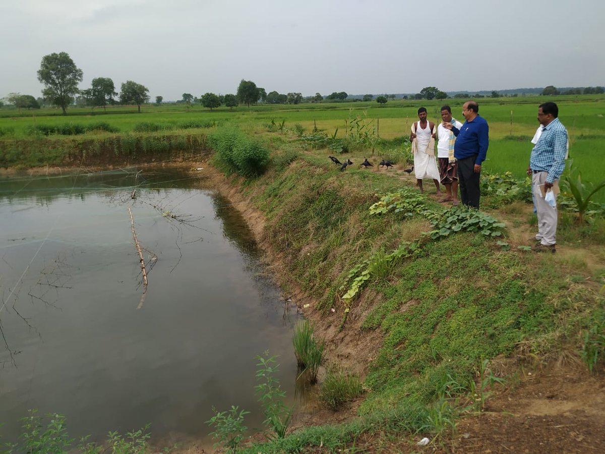 soilcons_odisha's tweet photo. Field visit of Director, Soil Conservation &amp;WD to various farmpond plus convergence activities and plantation programmes executed in Begunia and Tangi block of Khordha district on Dt 17.10.21. https://t.co/WP5EW4Oxo4