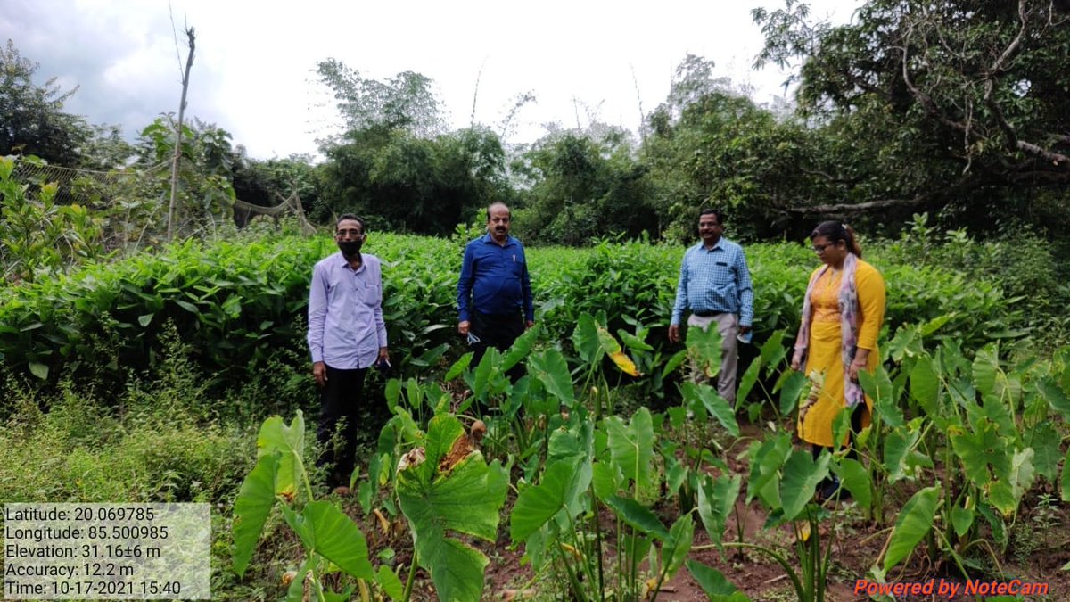 Field visit of Director, Soil Conservation &amp;WD to various farmpond plus convergence activities and plantation programmes executed in Begunia and Tangi block of Khordha district on Dt 17.10.21.