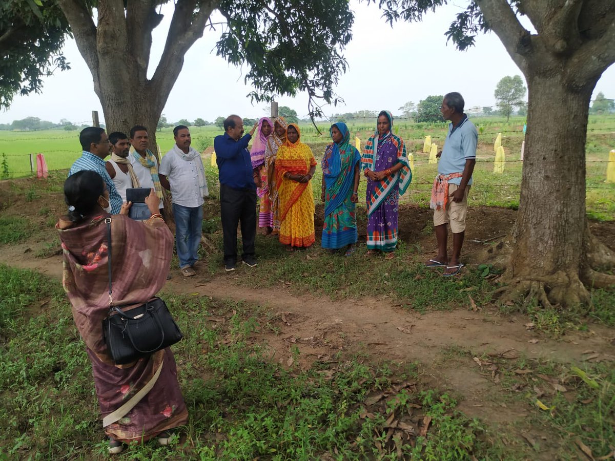 soilcons_odisha's tweet photo. Field visit of Director, Soil Conservation &amp;WD to various farmpond plus convergence activities and plantation programmes executed in Begunia and Tangi block of Khordha district on Dt 17.10.21. https://t.co/WP5EW4Oxo4