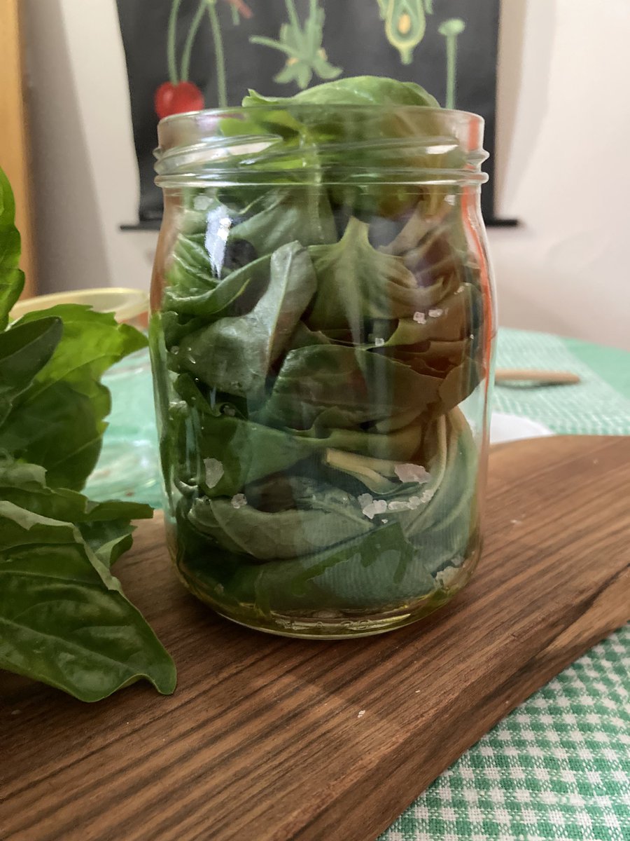 LAmericana's tweet photo. Thursday’s basilico gigante, now sotto olio. That one sprig (!) of giant basil was the last of my 90something neighbor’s balcony crop — cosa significa? Summer is officially g o n e… #Italy #StillLifeWithSaints https://t.co/EeJtJ6Hzef