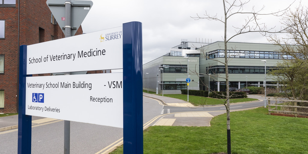 SurreyVet tweet media