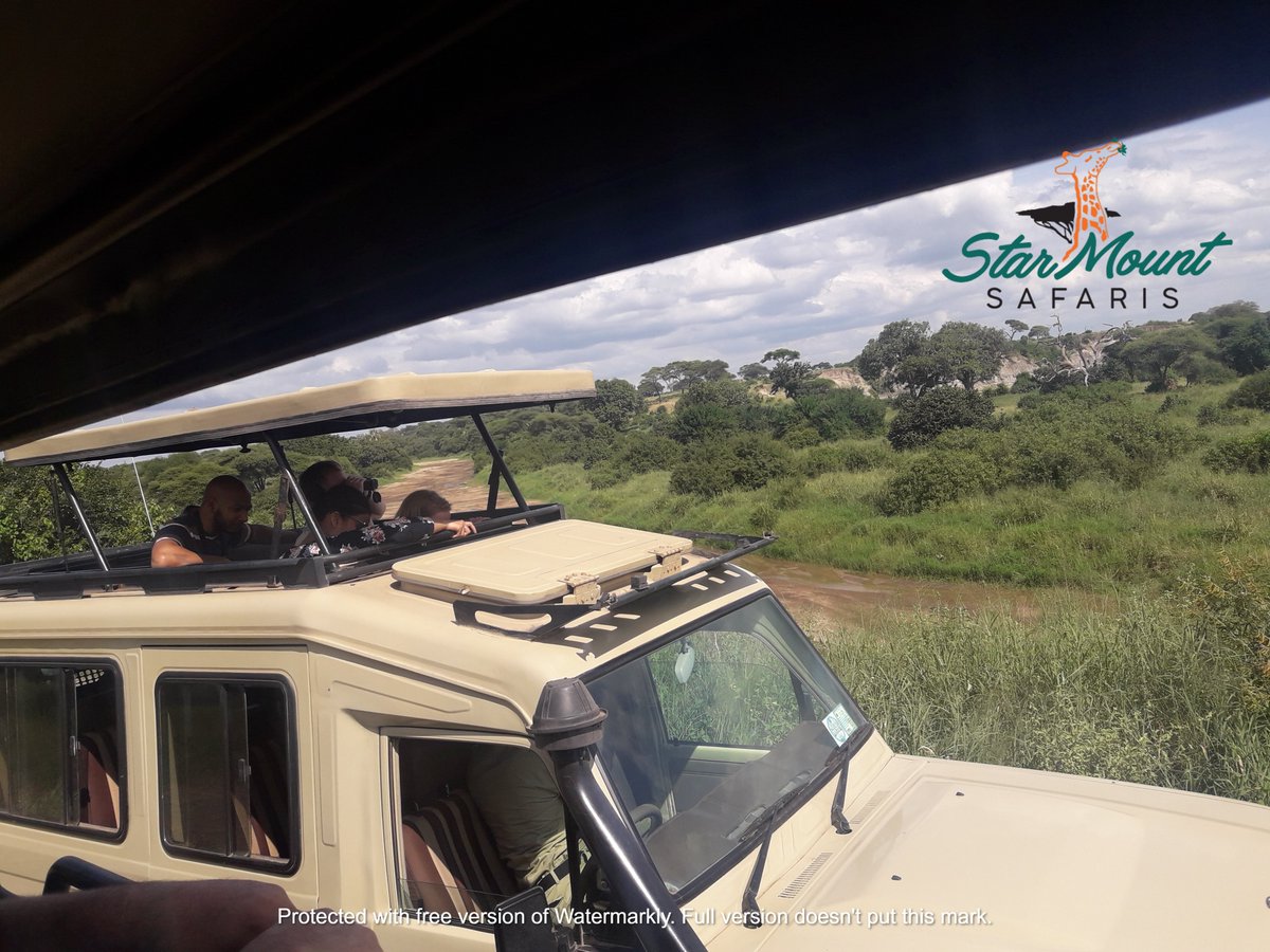 StarMount Safaris tweet media