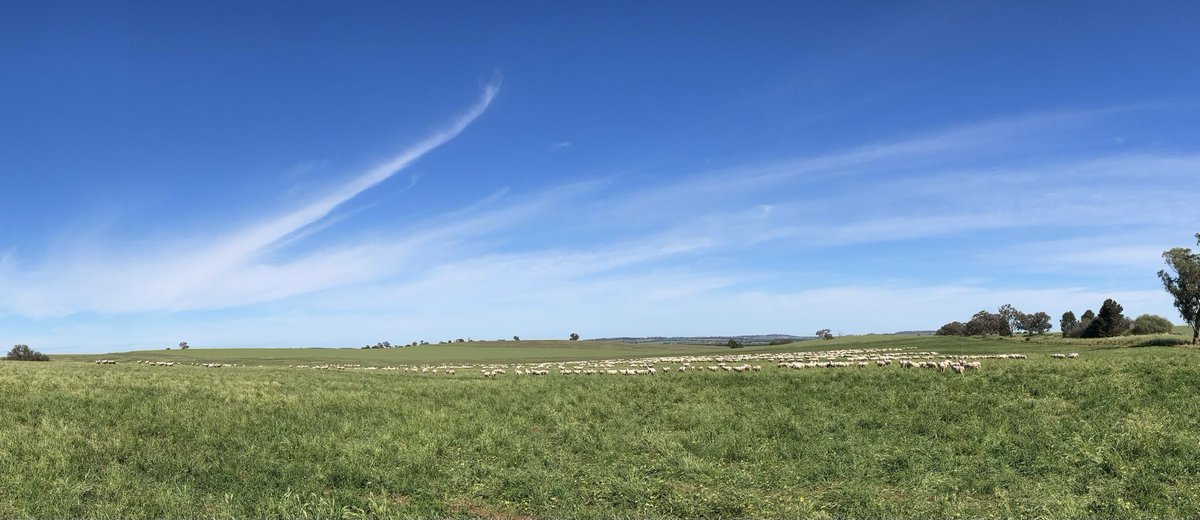 Deb Charlton tweet media