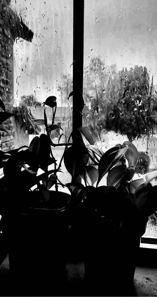 CosmoAlive's tweet image. 