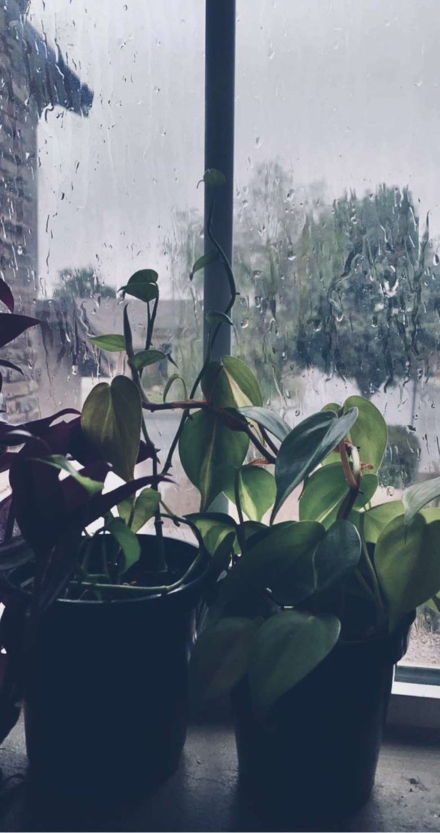 CosmoAlive's tweet image. 