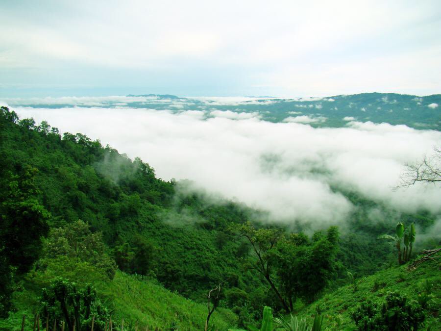 MyHomeIndia's tweet photo. #JampuiHills located in #Tripura is a must visit place.

Jampui is famous for its charming landscape &amp; bracing climate. The excellent climatic condition, green forests, beautiful orange garden, view of rising &amp; setting sun are wonderful sights for tourists.
(Via-Tripura Tourism) https://t.co/x9S8HW38DP