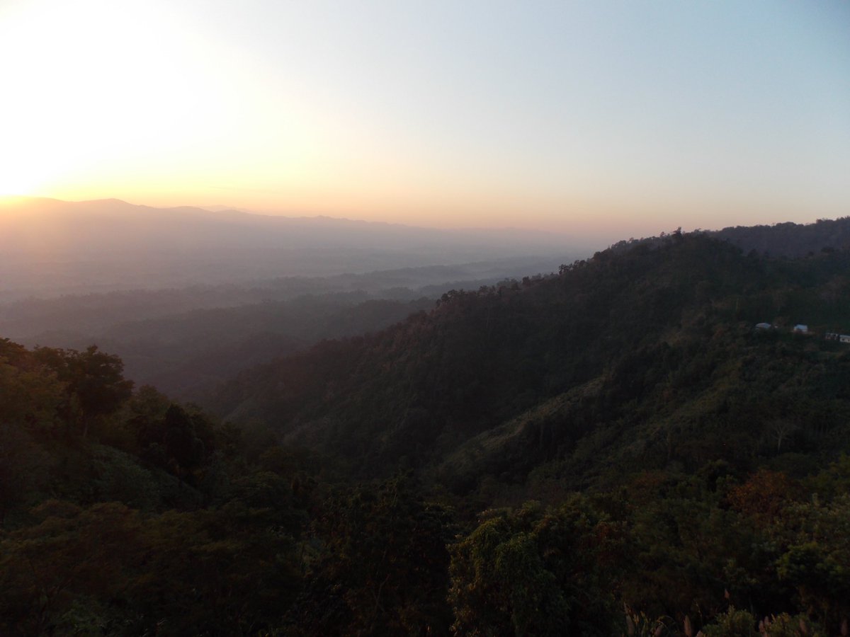 MyHomeIndia's tweet photo. #JampuiHills located in #Tripura is a must visit place.

Jampui is famous for its charming landscape &amp; bracing climate. The excellent climatic condition, green forests, beautiful orange garden, view of rising &amp; setting sun are wonderful sights for tourists.
(Via-Tripura Tourism) https://t.co/x9S8HW38DP