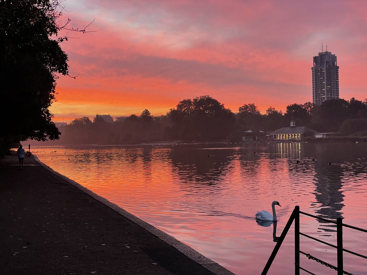 Amazing sunrise in Hyde Park this morning. Felt compelled to share.