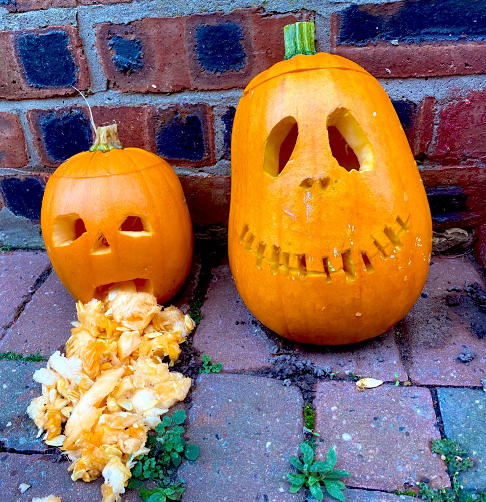 colhill845's tweet photo. Robyn’s HOMEGROWN pumpkins! @ArchibaldFirst #AFSPumpkins https://t.co/0kNqEmZFIw