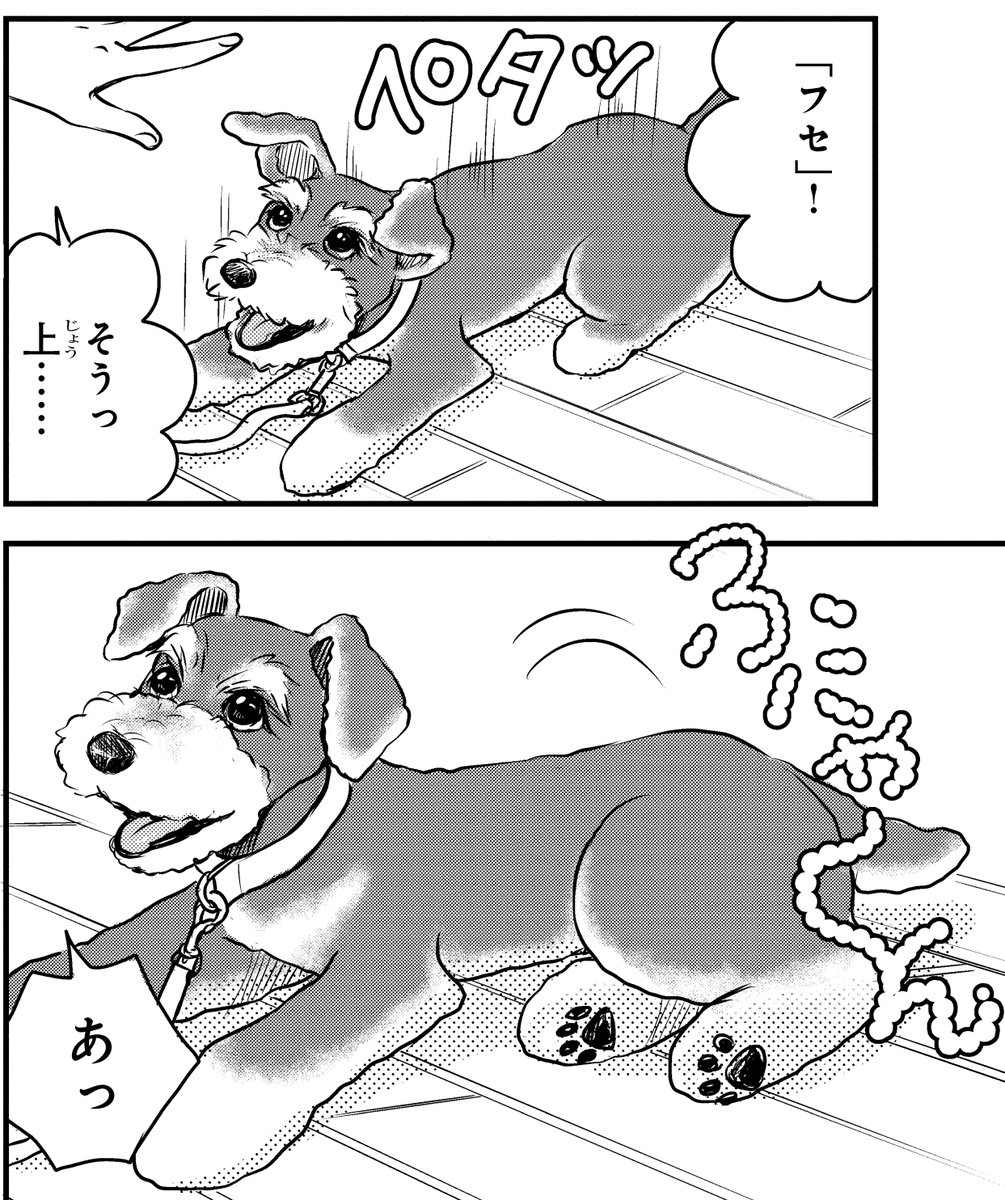 DOGSIGNAL が11時11分をお知らせします🐶 ＼ 今日の1コマは担当