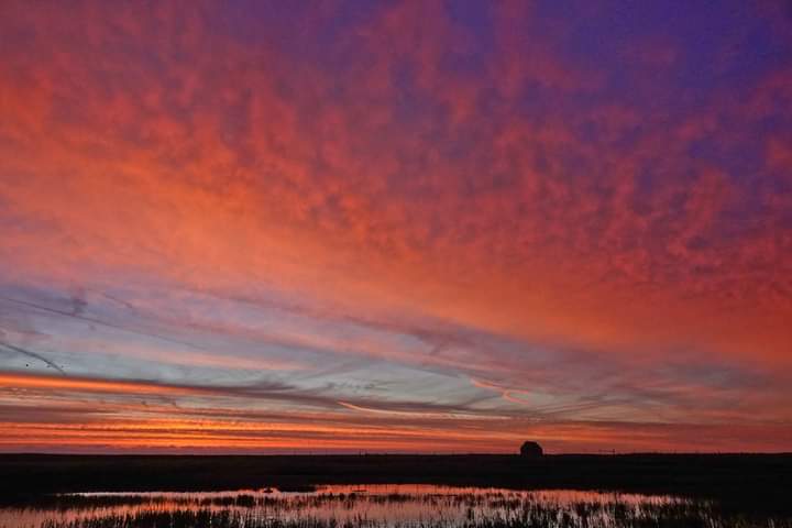 ryeharbour_NR's tweet image. A great start to a new week with another colourful dawn.
It's not so early now, so it's easier to get up and out to enjoy a colourful start the day.... but not every sunrise will be as good as today.