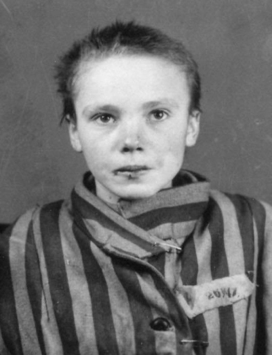 Instituto Nacional Auschwitz Birkenau España tweet media