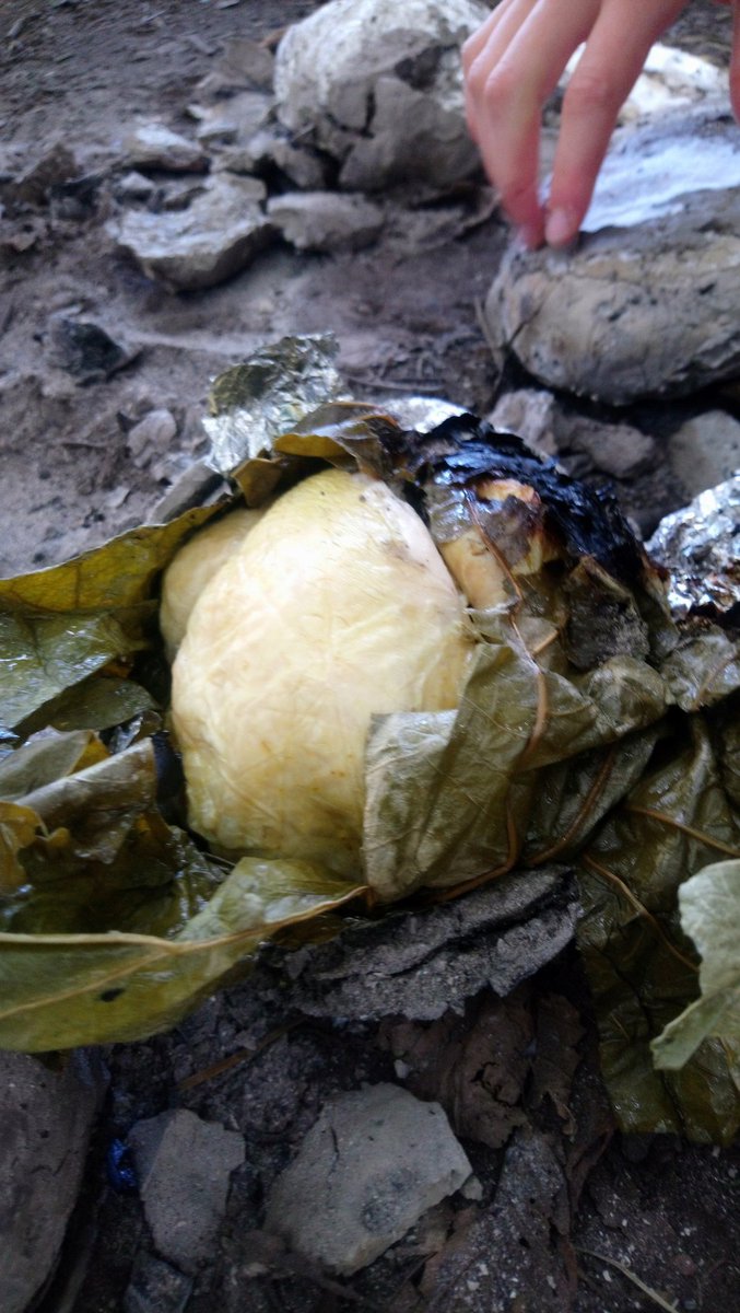 12th Hitchin Scouts tweet media