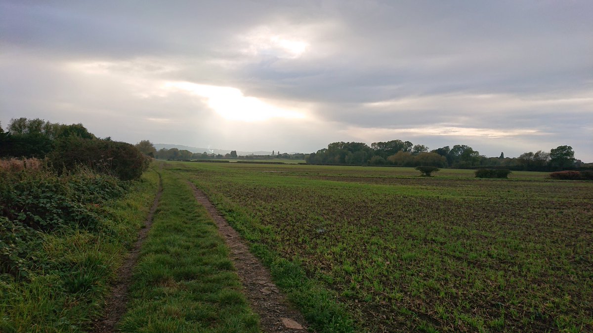 Run view from yesterday. 10km local loop and the mud is back in places #SlipAndSlide 🏃🏼‍♀️