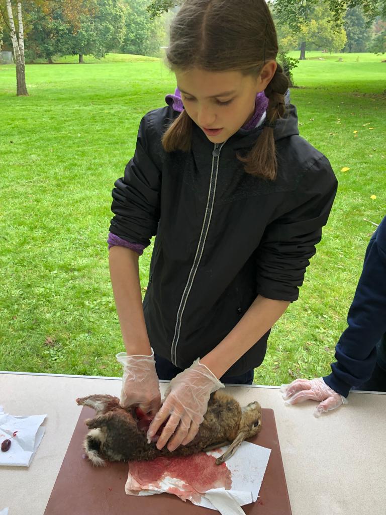 12th Hitchin Scouts tweet media