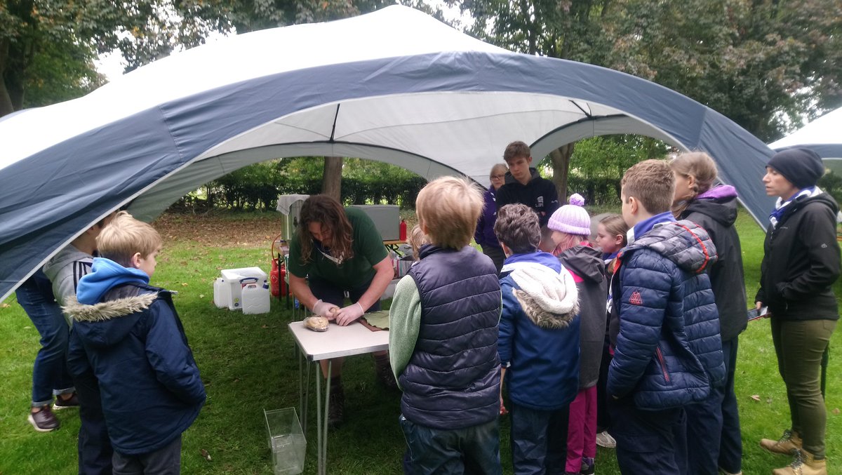 12th Hitchin Scouts tweet media