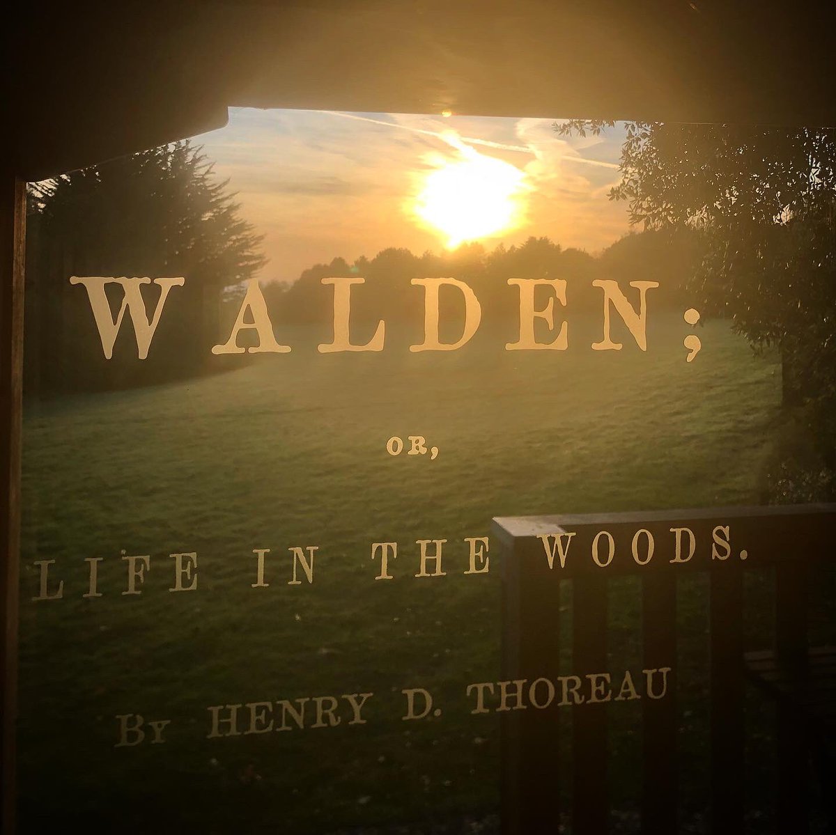 PhoebeRSmith's tweet photo. Bliss is my very own Walden cabin in the woods overlooking the coast, followed by a visit to the tidal stepping stones of Ogmore Castle, and the jaw dropping Glamorgan Heritage Coast replete with ‘devil’s toenails’ (aka Gryphaea fossils) #VGlam #TrailsFromTheVale #VisitTheVale https://t.co/zTfsCskK2f