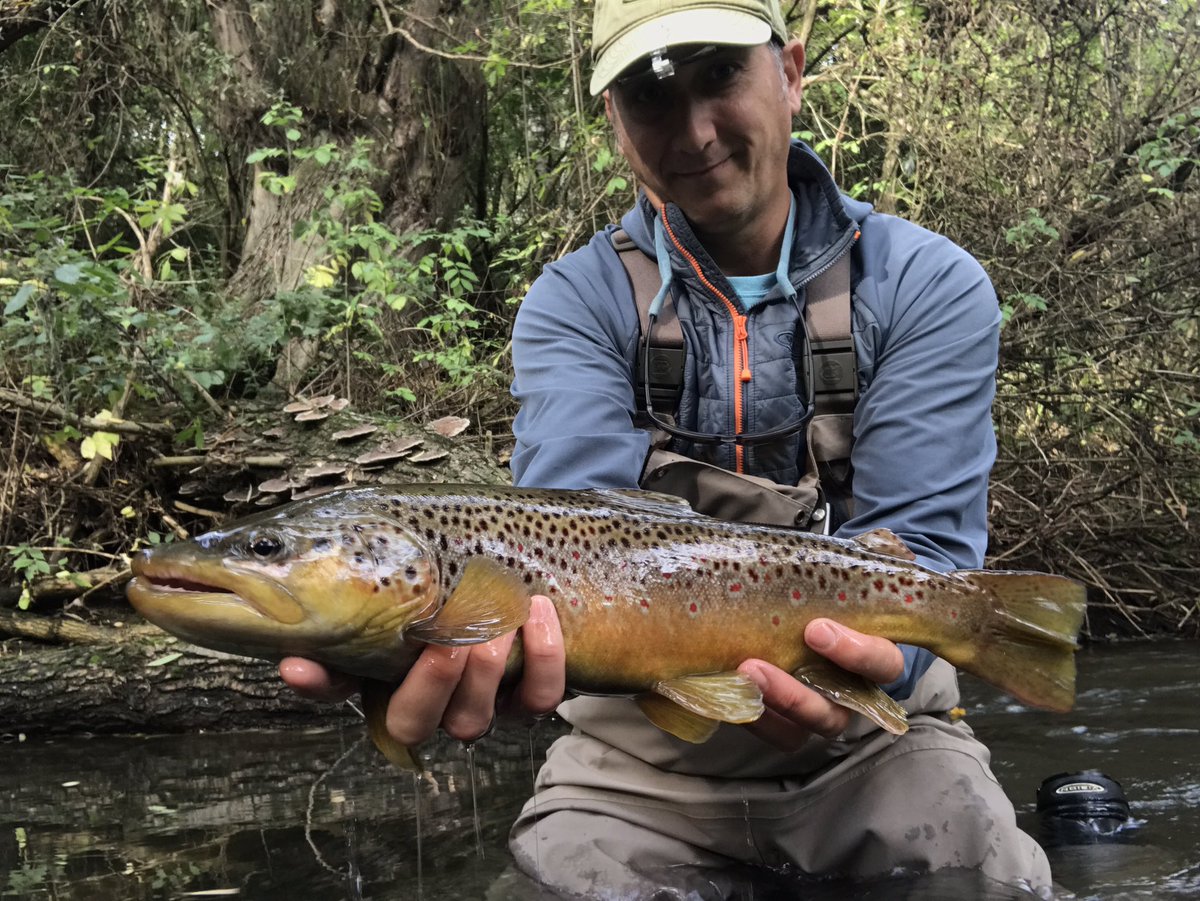 A dramatic end to my trout season in the tiny brook!!