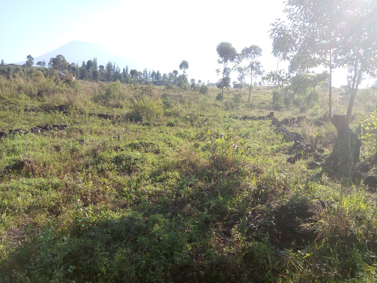 akilimalichoma_'s tweet photo. Exchange of fire between the Congolese and Rwandan armies at Buhumba in #Nyiragongo territory the morning of Mon 18th Oct. Shots await. Sources on the spot evoke a tension between the two troops on the spot after the entry of a unit of the Rwandan army on Congolese soil. #RDC https://t.co/xUBvog5hQk