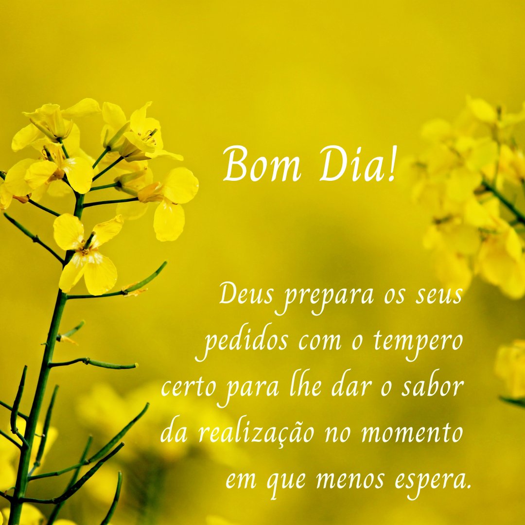 JanezinhaSilva's tweet photo. #Bomdia @CheKape_CK @csilvi72 https://t.co/iTaezFEyQR
