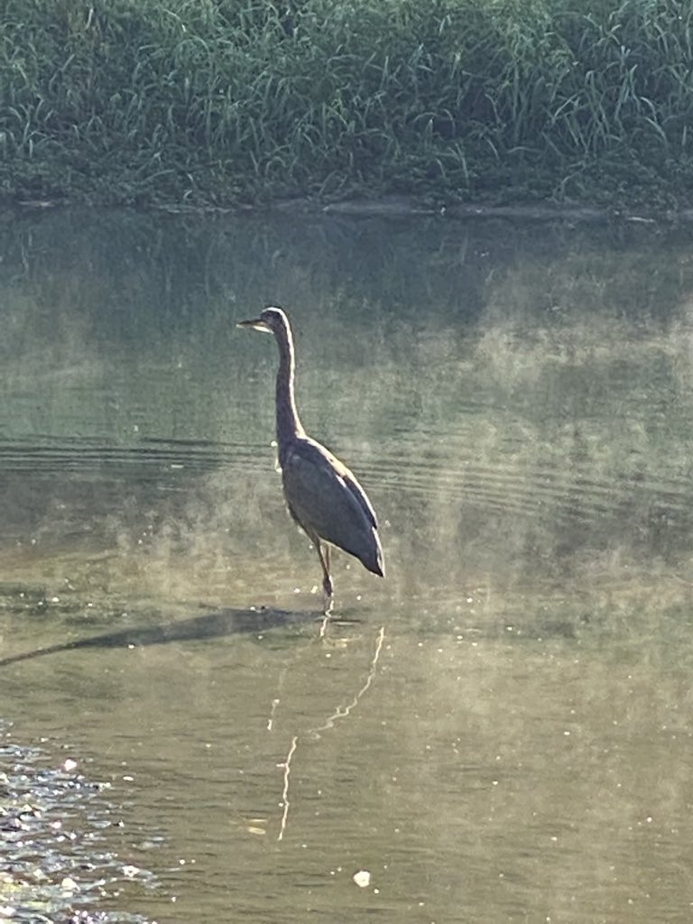 LazyBaugus's tweet photo. A crisp morning at #LeviJacksonPark in #londonky #photography https://t.co/fgGOnRW0nj