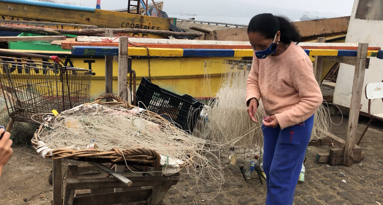 Actualidad:

Mujered de la pesca artesanam se capacitarán durante octubre para fortalecer su desarrollo y disminuir brechas de género

Mujeres de la pesca artesanal participarán durante octubre en un ciclo de talleres de capacitación en línea