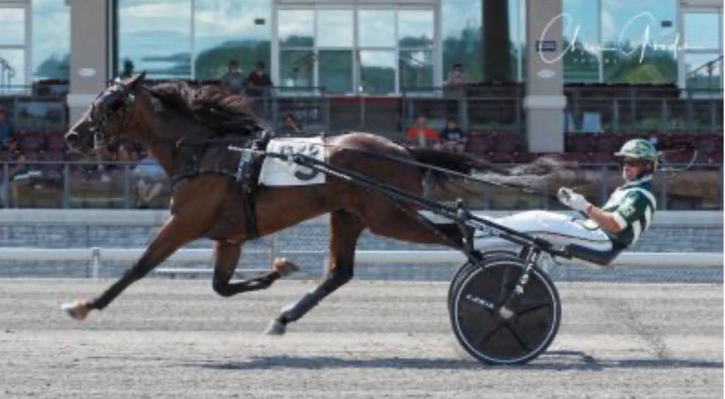 3 år gamle Type A (e. Southwind Frank) fra Nancy Takter sin stall.  Type-A har vært deleid av Nancy Takter selv og møtt de beste i årgangen ved flere anledninger. Han har startet 17 ganger og 7 trippelplasseringer med over 187 000 dollar (1,6 millioner nok) og travet 10,0!