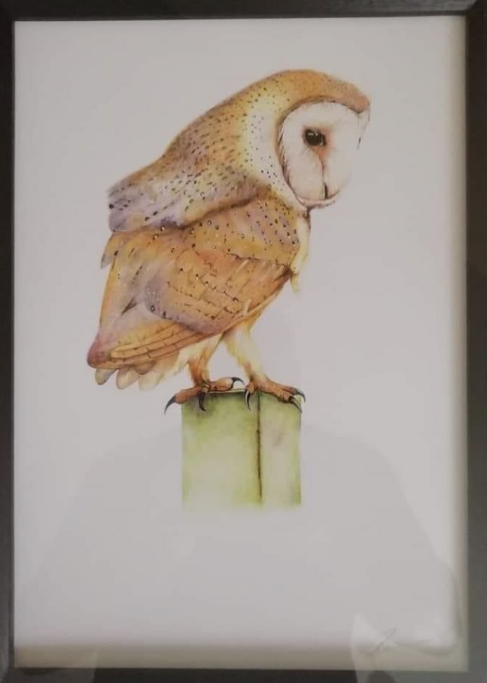 🦉 Owl artwork 🖼 

🎨 Open for commissioning work so please get in contact if you would like a painting or drawing doing 🖌 #owl #owlart #birdart #art #artwork #painting #paint #painter #Artist