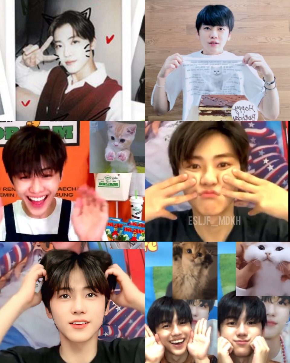 𝙉𝙤.𝟗 tweet media