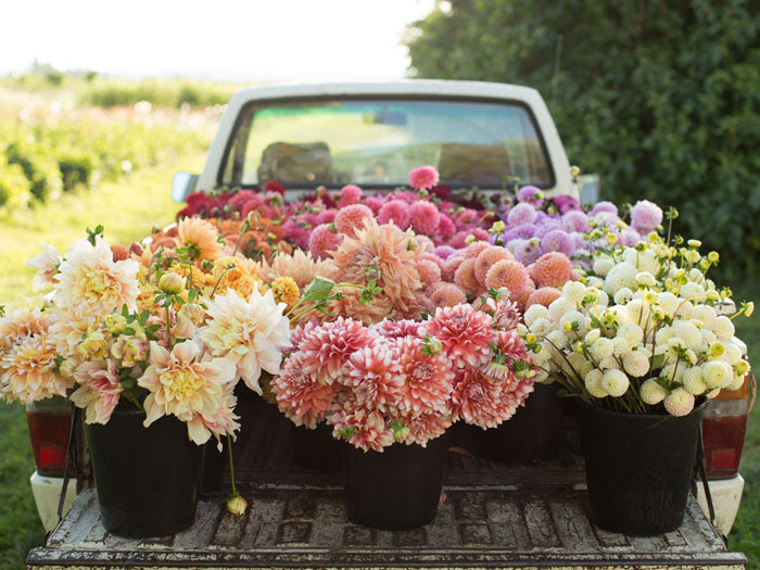 Register to attend the free 30-minute Shop Talk with Tim workshop today at 5pm Eastern and you'll earn a voucher for free wholesale flowers, no strings attached.

Discover how to make better funeral sales and get free flowers to fill those orders! register.gotowebinar.com/register/70504…